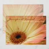 オレンジのゲルベラ • 結婚式の予告状 セーブザデート (正面/裏面)