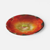 オレンジのサボテンの花の紙皿 ペーパープレート (アングル)