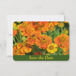 オレンジのスニーズウォート フラワー ガーデン サプライズ バースデー セーブザデート