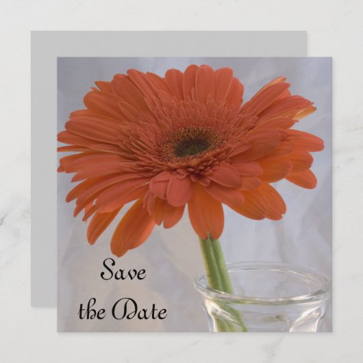 オレンジのデイジー結婚式の日付の発表を保存 セーブザデート (正面/裏面)