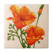 オレンジのハナビシソウのハナビシソウ タイル (正面)