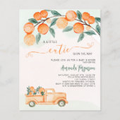 オレンジのバジェットベビーシャワーのかわいこちゃん (正面)