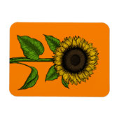 オレンジのヒマワリ マグネット (横)