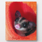 オレンジのベッドのシュガぶら下がったーグライダー フォトプラーク (正面)