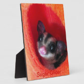 オレンジのベッドのシュガぶら下がったーグライダー フォトプラーク (側面)