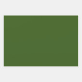 オレンジのユリの花の写真と無地の緑のグリッター ラッピングペーパーシート (正面3)