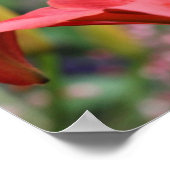 オレンジのユリの花をクローズアップ ポスター (角)