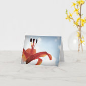 オレンジのユリ - 白 カード (黄色い花)