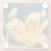 オレンジのライリーの花 ガラスコースター (裏面)