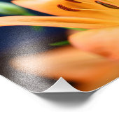 オレンジのライリーの花 フォトプリント            (角)