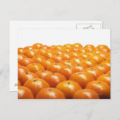 オレンジの列 ポストカード (正面/裏面)