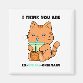 オレンジの子猫は並外れて可愛いボバ マグネット (正面)