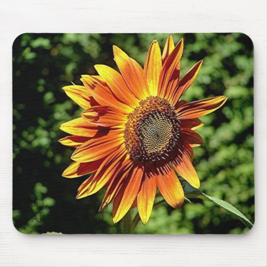 "オレンジの幸福" マウスパッド (正面)