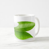 オレンジの木の花 コーヒーマグカップ (正面右)