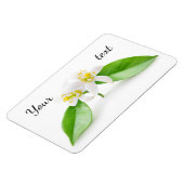 オレンジの木の花 マグネット (左側)