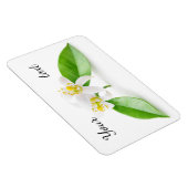 オレンジの木の花 マグネット (右側)