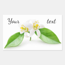 オレンジの木の花 長方形シール