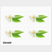 オレンジの木の花 長方形シール (シート)