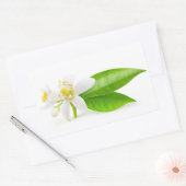 オレンジの木の花 長方形シール (封筒)