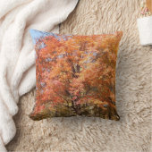 オレンジの木 クッション (ブランケット)