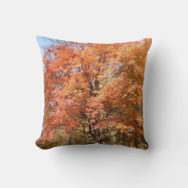 オレンジの木 クッション