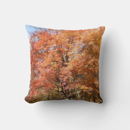 オレンジの木 クッション (正面)