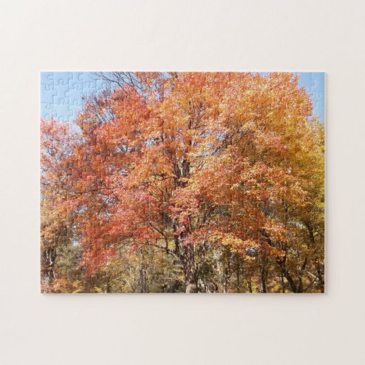 オレンジの木 ジグソーパズル (横)