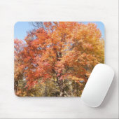 オレンジの木 マウスパッド (マウス)