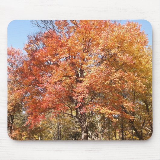 オレンジの木 マウスパッド (正面)