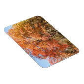 オレンジの木 マグネット (右側)