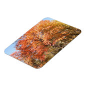 オレンジの木 マグネット (左側)