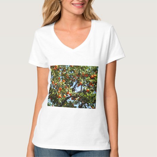 オレンジの木 Tシャツ (正面)
