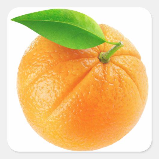 オレンジの果実 スクエアシール (正面)