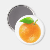 オレンジの果実 マグネット (正面/裏面)