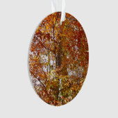 オレンジの枝の葉秋の自然 オーナメント (正面)