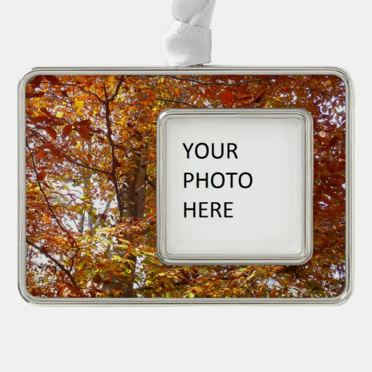 オレンジの枝の葉秋の自然 シルバープレートフレームオーナメント (正面)