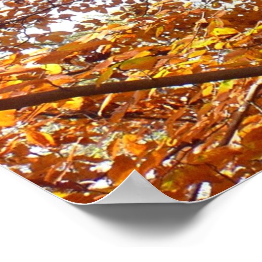 オレンジの枝の葉秋の自然 ポスター (角)