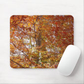 オレンジの枝の葉秋の自然 マウスパッド (マウス)