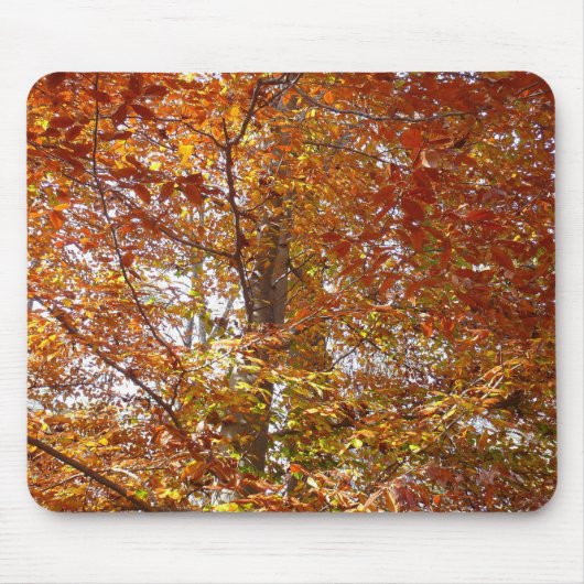 オレンジの枝の葉秋の自然 マウスパッド (正面)