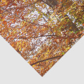 オレンジの枝の葉秋の自然 薄葉紙 (詳細)