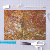 オレンジの枝の葉秋の自然 薄葉紙 (クラフト)