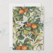 オレンジの柑橘系水色の植物結婚の (裏面)