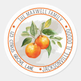 オレンジの柑橘類のフルーツ サークル 返信先住所 ラウンドシール