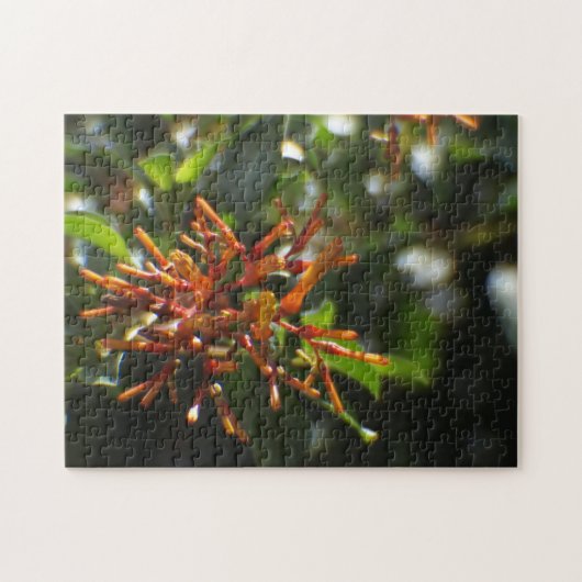 オレンジの植物パズル ジグソーパズル (横)