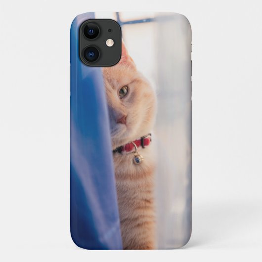 オレンジの猫の顔アップ近くのネックレス、青 Case-Mate iPhoneケース (裏面)