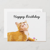 オレンジの猫は白い誕生日だ ポストカード (正面/裏面)
