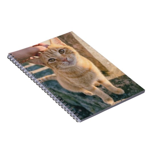 オレンジの猫ノート ノートブック (右側)