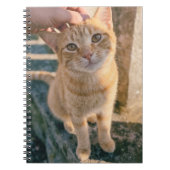 オレンジの猫ノート ノートブック (正面)