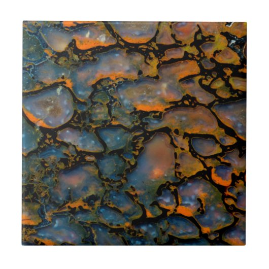 オレンジの石化恐竜の骨 タイル (正面)