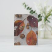 オレンジの紅葉とドングリ ポストカード (スタンド正面)